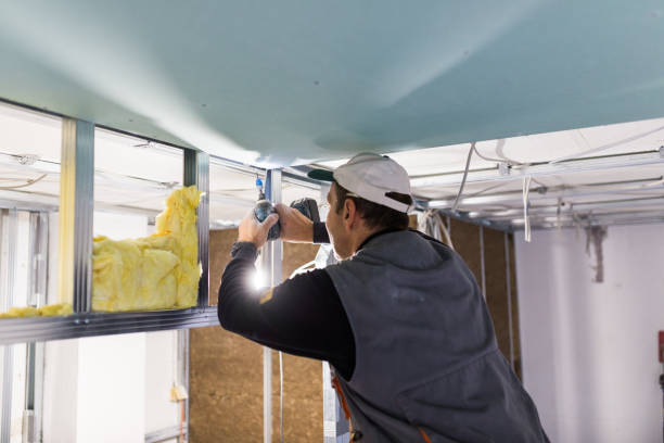 Best DIY Insulation Kits and Guidance in Graysville, AL