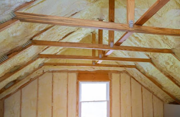 Best Cellulose Insulation in Graysville, AL